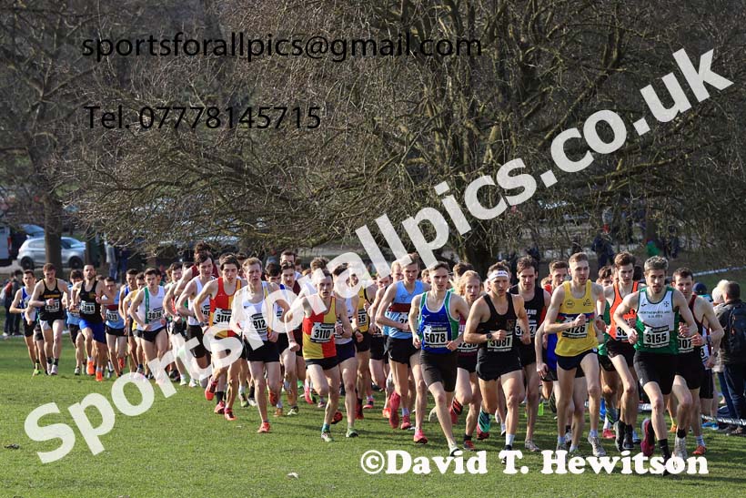 Senior Men, 2024 CAU Inter Counties Cross Country Champs., Wollaton Park, Nottingham. Photo: David T. Hewitson/Sports for All Pics